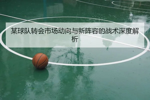 某球队转会市场动向与新阵容的战术深度解析
